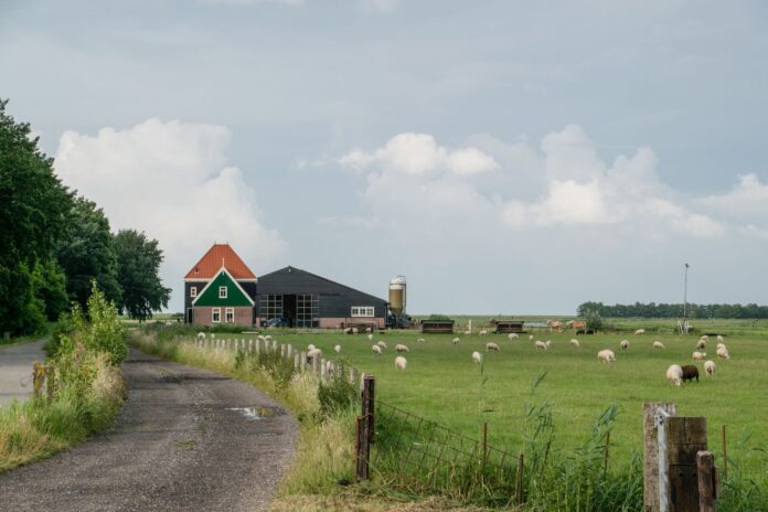 Woonboerderij krijgt steeds vaker eigenaar uit de Randstad